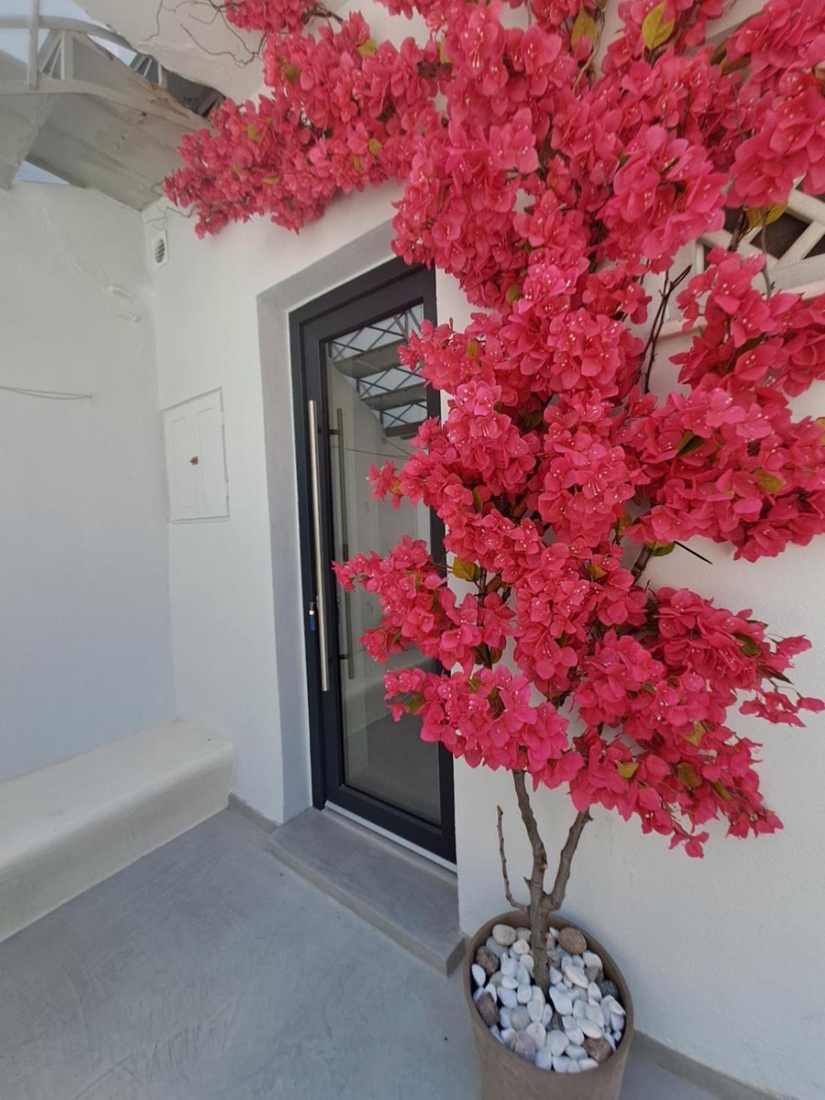 Margaret'S Houses In Tinos Town エクステリア 写真